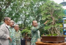Sekdaprov Kepri Buka Pameran dan Kontes Bonsai Nasional