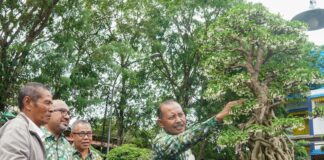 Sekdaprov Kepri Buka Pameran dan Kontes Bonsai Nasional