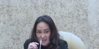 Cen Sui Lan : Lelang Dini Rp300 Miliar untuk Kawasan Tanjung Banon Rempang Galang