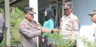 Pemulihan Ekonomi Nasional, Kapolres Lingga Panen Cabe Rawit