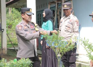 Pemulihan Ekonomi Nasional, Kapolres Lingga Panen Cabe Rawit
