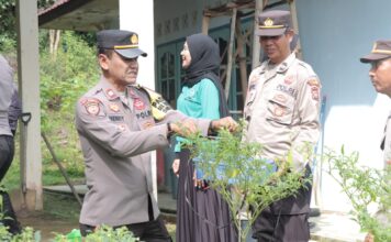 Pemulihan Ekonomi Nasional, Kapolres Lingga Panen Cabe Rawit