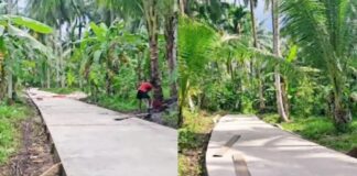 Kerja Nyata Cen Sui Lan, Percantik Jalan Desa Sungai Ulu dan Sepempang Natuna
