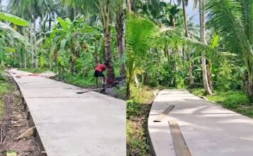 Kerja Nyata Cen Sui Lan, Percantik Jalan Desa Sungai Ulu dan Sepempang Natuna