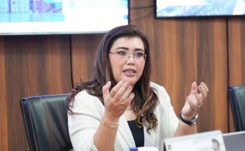 Triwulan III 2023, Industri Mesin dan Elektronik Masih Dominasi Realisasi PMA di Batam