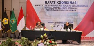 Pertumbuhan Ekonomi dan Pengendalian Inflasi di Kepri Tercatat Lebih Baik, Mendagri Puji Gubernur Ansar