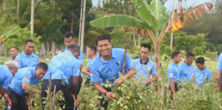 Dukung Ketahanan Pangan di Daerah Perbatasan, Lanud Raden Sadjad Gelar Panen Raya
