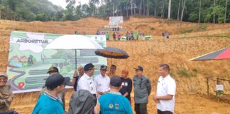 Peringati HMPI, Audy Joinaldy Didampingi Bupati Safaruddin Tanam Pohon Bersama