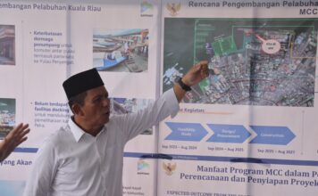 Perkuat Konektivitas Wilayah Kepri, 5 Proyek Pelabuhan Tuntas di Akhir Tahun 2023
