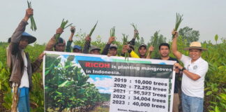 Jaga Keseimbangan Lingkungan, PWI Kepri dan Pecinta Mangrove Jepang Tanam Bakau di Bintan