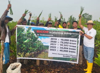 Jaga Keseimbangan Lingkungan, PWI Kepri dan Pecinta Mangrove Jepang Tanam Bakau di Bintan