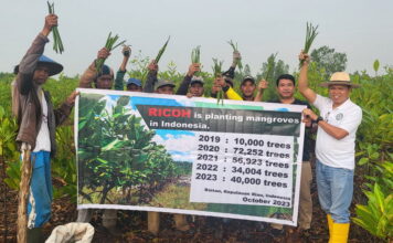 Jaga Keseimbangan Lingkungan, PWI Kepri dan Pecinta Mangrove Jepang Tanam Bakau di Bintan