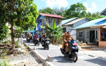 Gubernur Ansar Pastikan Revitalisasi Pulau Penyengat Terus Berlanjut