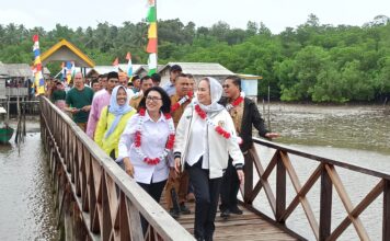 Cen Sui Lan Resmikan Objek Wisata Mangrove Sambok Bestari di Desa Batu Gajah, Natuna