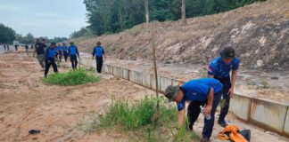 Ditpam BP Batam Lakukan Pemupukan Pohon Jati Emas