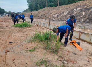Ditpam BP Batam Lakukan Pemupukan Pohon Jati Emas