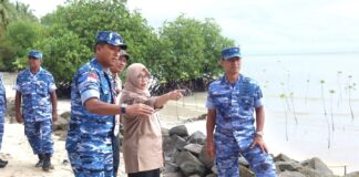 Cegah Abrasi, Aspotdirga Kasau Tanam Pohon dan Tinjau Konservasi Mangrove di Lanud RSA Natuna