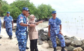 Cegah Abrasi, Aspotdirga Kasau Tanam Pohon dan Tinjau Konservasi Mangrove di Lanud RSA Natuna