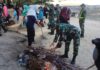 Personel Batalyon Komposit 1/Gardapati Bersama Smartfreen Comunity Gelar Aksi Bersih-bersih Pesisir Pantai