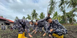 Program Ketahanan Pangan, Danlanal Ranai Pimpin Penanaman Jagung