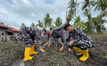 Program Ketahanan Pangan, Danlanal Ranai Pimpin Penanaman Jagung