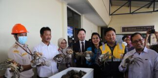 Muhammad Rudi Lepas Ekspor Perdana Kepiting Bakau ke China