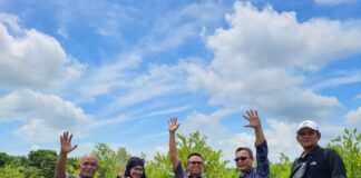 Sambut HPN 2024, PWI Kepri Siapkan Penanaman 50 Ribu Bibit Mangrove