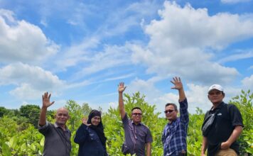 Sambut HPN 2024, PWI Kepri Siapkan Penanaman 50 Ribu Bibit Mangrove