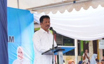 Kepala BP Batam Jamin Kenyamanan Investasi di Batam