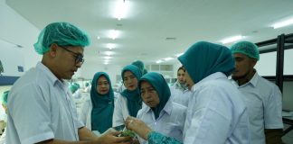 Pj Ketua TP PKK Provsu Bersama Ketua TP PKK Asahan Kunjungi PT Hijau Surya Biotechindo