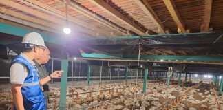 Tarif Listrik April-Juni 2024 Tetap, Pemerintah Perhatikan Daya Beli Masyarakat dan Dukung PLN Jaga Mutu Pelayanan