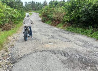 Rusak dan Berlubang, Jalan Penghubung 3 Desa di Natuna Butuh Perhatian PemerintahÂ