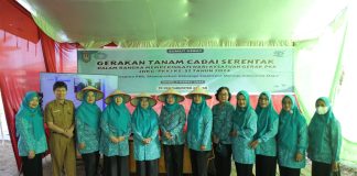 TP PKK Kabupaten Asahan Ikut Gerakan Tanam Cabai Serentak