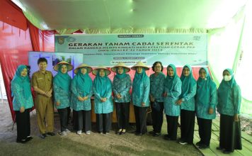TP PKK Kabupaten Asahan Ikut Gerakan Tanam Cabai Serentak