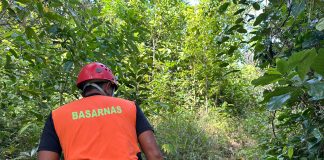 Kantor SAR Natuna Kerahkan Tim Rescuer Mencari Seorang Lansia Hilang di Pulau Selaut