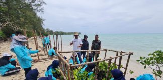 BRGM RI dan TNI AU Lanud RSA Bersinergi Mendidik Masyarakat Natuna Tentang Pentingnya Mangrove