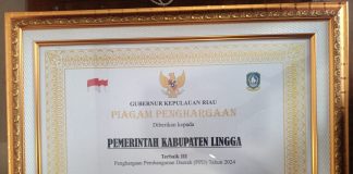 Kabupaten Lingga Raih Penghargaan Pembangunan Daerah Tingkat Provinsi Kepulauan Riau Tahun 2024