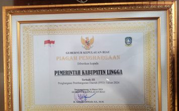Kabupaten Lingga Raih Penghargaan Pembangunan Daerah Tingkat Provinsi Kepulauan Riau Tahun 2024