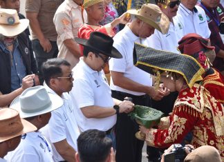 Gubernur Mahyeldi Buka Resmi Pacuan Kuda Payakumbuh Lebaran Cup 2024