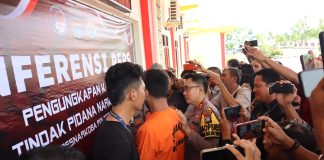 Tanam Ganja di Kebun, Seorang Pria di Bintan Ditangkap Polisi