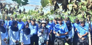 Dukung Ketahanan Pangan, Danlanud RSA dan Ketua PIA AG Panen Raya Bersama Petani Natuna