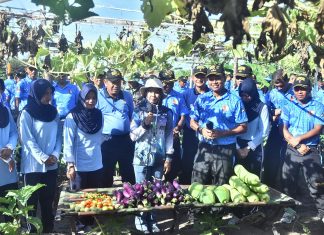 Dukung Ketahanan Pangan, Danlanud RSA dan Ketua PIA AG Panen Raya Bersama Petani Natuna