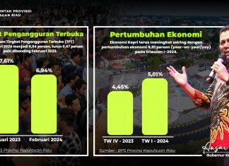 Tingkat Pengangguran Terbuka Kepri Turun, Ekonomi Tumbuh 5,01 Persen