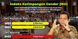 Indeks Ketimpangan Gender Kepri Turun Menjadi 0,348 Poin, Lebih Baik dari Angka Nasional