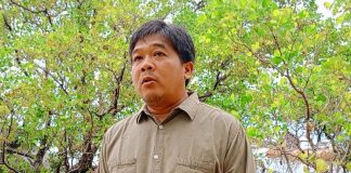 BRGM Target Perbaikan 400 Hektar Lahan Mangrove di Kepri, 49 Hektar di Natuna Sudah Teken Kontrak Penanaman