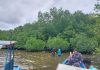BRGM Survey Lokasi Penanaman Bibit Mangrove di Desa Batu Gajah