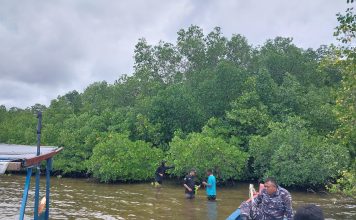 BRGM Survey Lokasi Penanaman Bibit Mangrove di Desa Batu Gajah