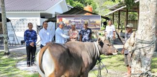 Komandan Lanud RSA Natuna Serahkan Hewan Qurban Secara Simbolis