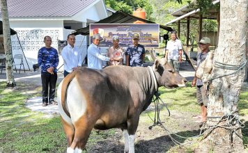 Komandan Lanud RSA Natuna Serahkan Hewan Qurban Secara Simbolis