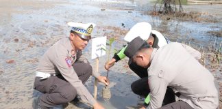 Polres Lingga Tanam Mangrove di Pantai Pasir Kuning dalam Rangka Hari Bhayangkara ke-78